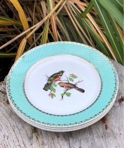 Assiettes plates vintage