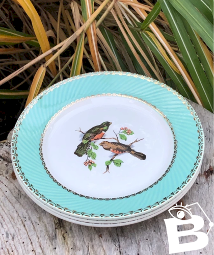 Assiettes plates vintage