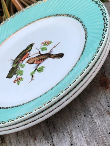 Assiettes plates vintage