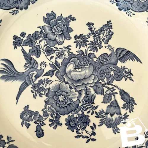 Assiettes plates Windsor Ridgway