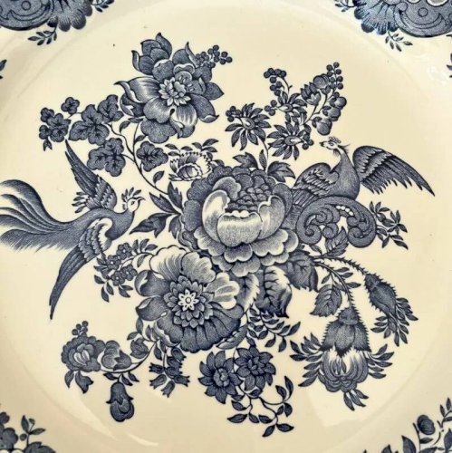 Assiettes plates Windsor Ridgway