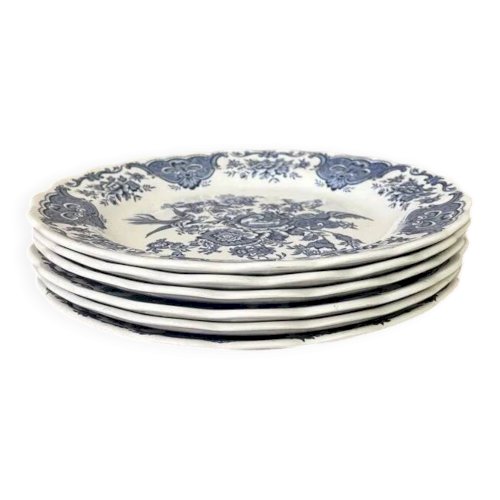 Assiettes plates Windsor Ridgway