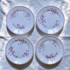 Assiettes plates XIXe terre de fer signées Maestricht collection Toulouse