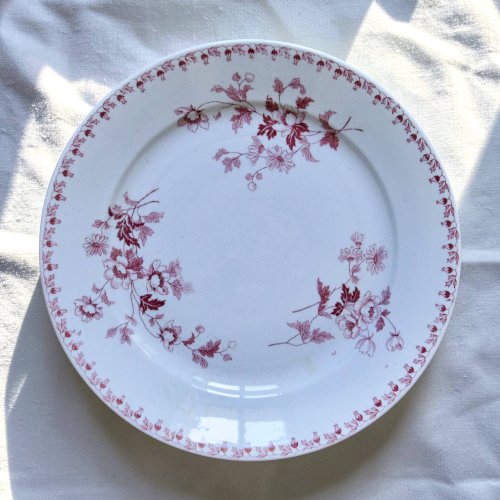 Assiettes plates XIXe terre de fer signées Maestricht collection Toulouse