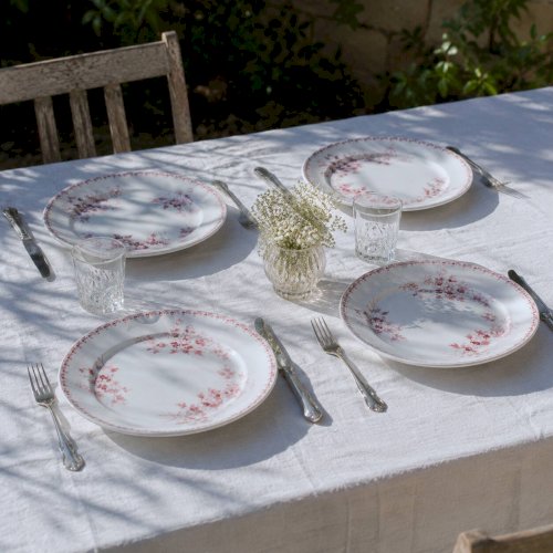 Assiettes plates XIXe terre de fer signées Maestricht collection Toulouse