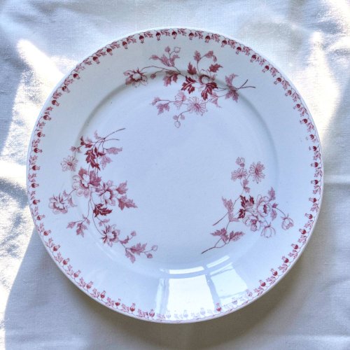 Assiettes plates XIXe terre de fer signées Maestricht collection Toulouse