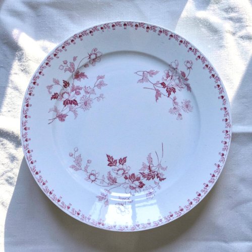 Assiettes plates XIXe terre de fer signées Maestricht collection Toulouse