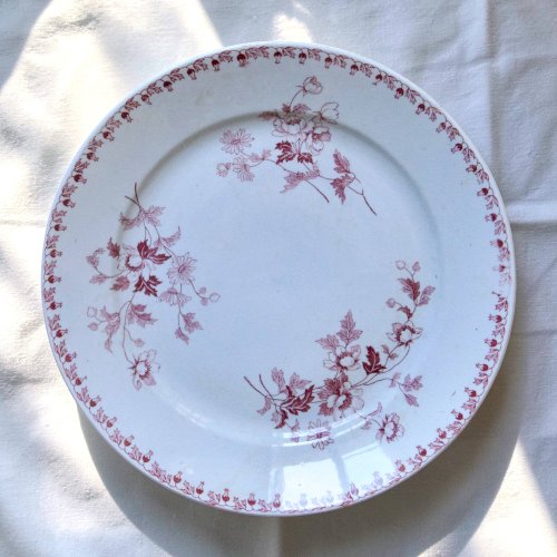Assiettes plates XIXe terre de fer signées Maestricht collection Toulouse