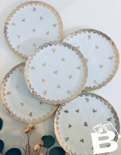 Assiettes porcelaine de Limoges