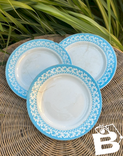Assiettes rétro vintage blanches contours bleus