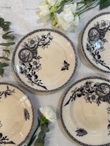 Assiettes Terre de fer Sarreguemines