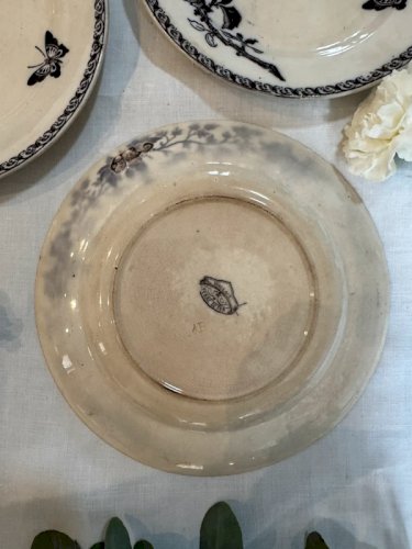 Assiettes Terre de fer Sarreguemines