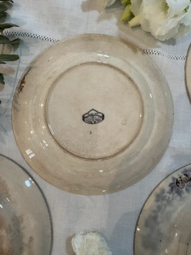 Assiettes Terre de fer Sarreguemines