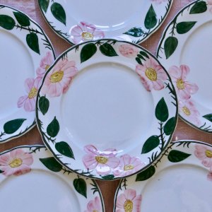 dot