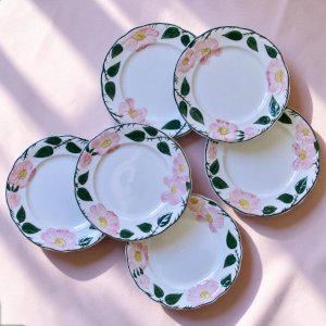 dot