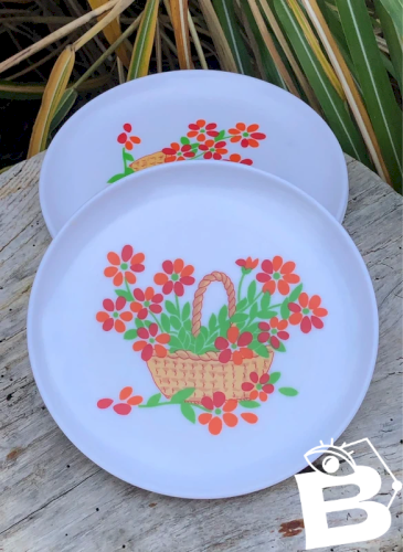 Assiettes vintage en mélaminé Plastorex