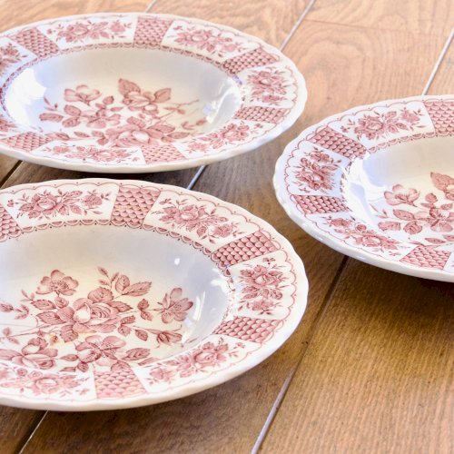 Assiettes vintage Myott England terre de fer anglaise collection Melody
