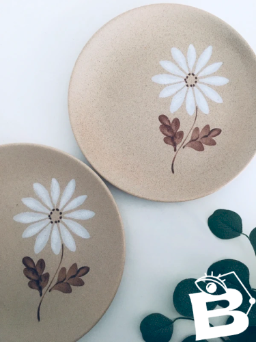 Assiettes vintage