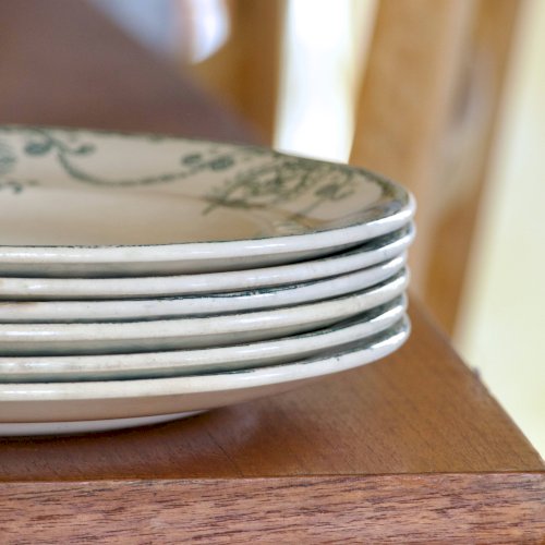 Assiettes XIXe Longwy, terre de fer Pierrefonds