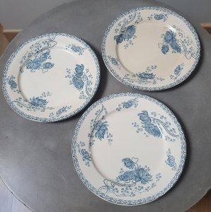 dot