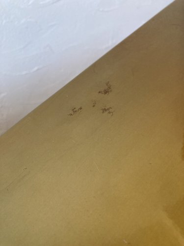 Assise métallique électrozinguée, effet laiton. Défilé Pharrell Williams / Louis Vuitton, 2024