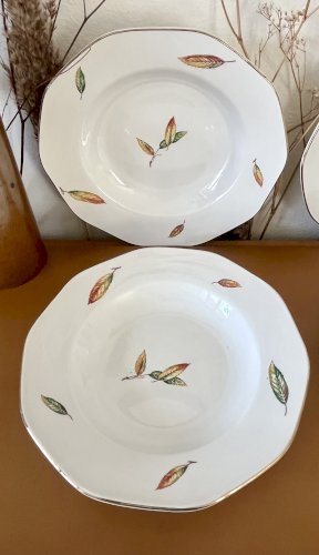 Authenticité - Lot n°2 - 6 assiettes creuses Nemours - 22,8 cm - Digoin Sarreguemines