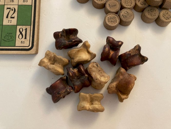 AV7⚜️  Ancien Jeu de Société Le Loto Vintage Authentique