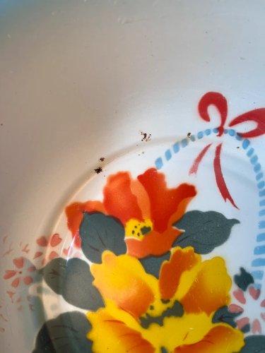 Bassine vintage en tôle émaillée