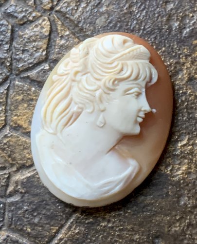 Beau camée coquillage néoclassique d'époque XIXème profil féminin 3,5cmx2,7cm