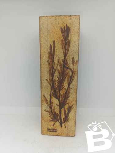 beau vase decor branchage signé Raymonde Leduc en bon etat