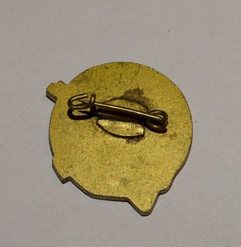-BEL INSIGNE FDJ ALLEMAND RDA COLLECTION VITIRINE MILITARIA  JEUNESSE      D