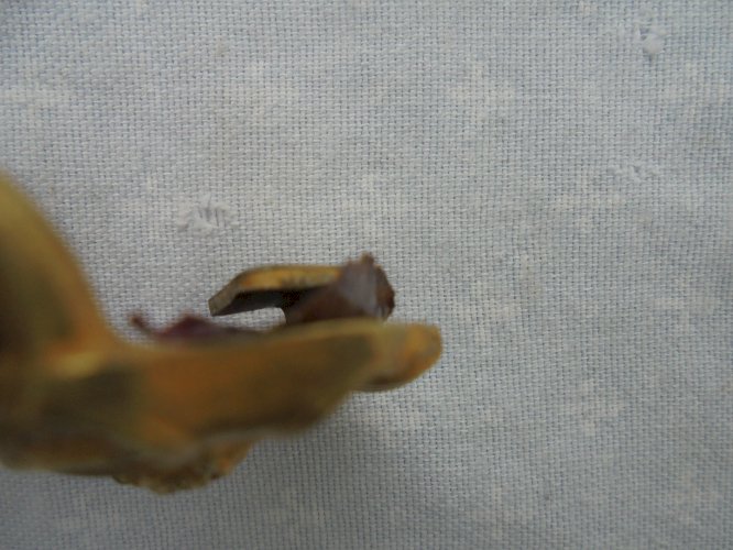 boucle  de ceinturon d officier de marine francaise  2 empire