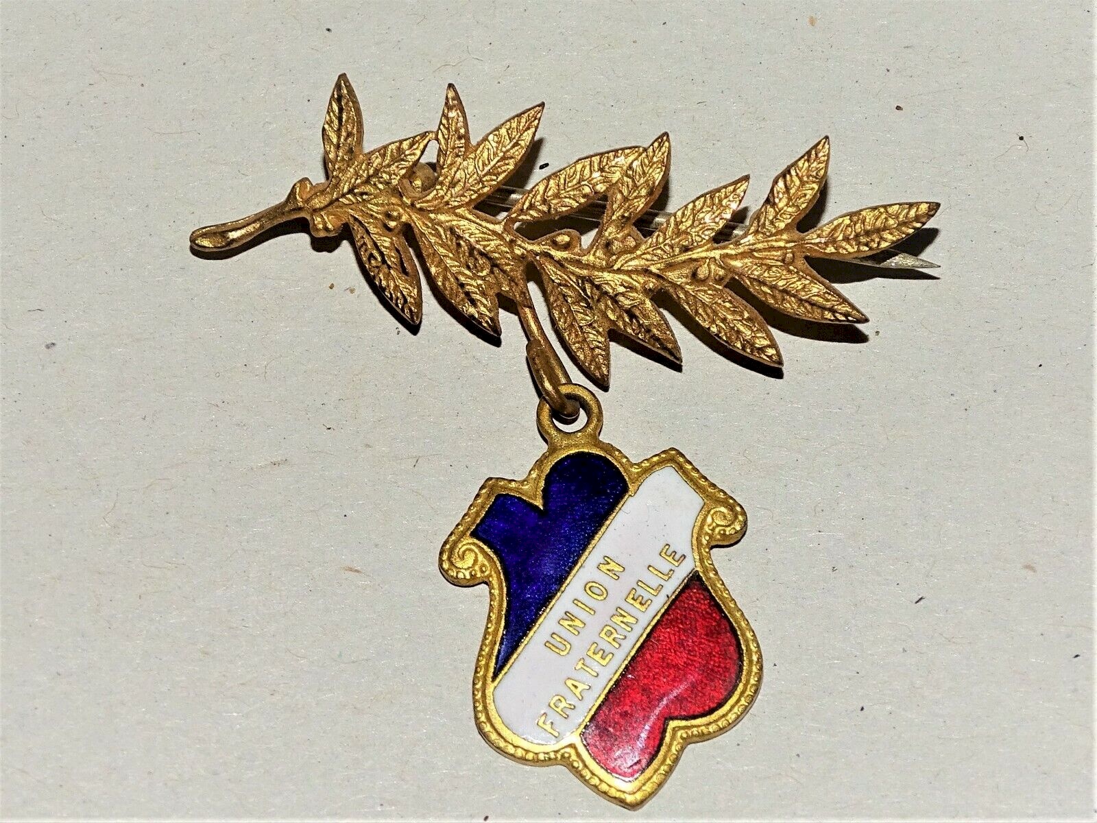 Ancien Pin's Supporter Football - Club De Reading (Angleterre) - Émail - Occasion