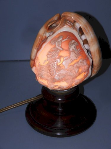 -BELLE LAMPE COQUILLAGE VEILLEUSE  décor CAMEE CHAR ROMAIN Pied BOIS déco    D