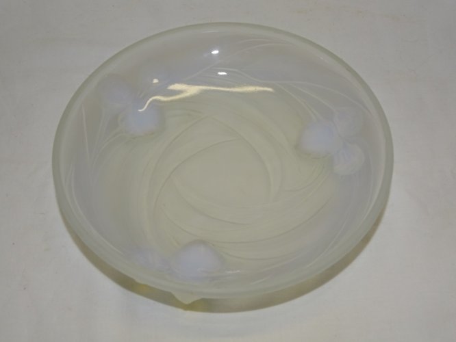 -BELLE PETITE COUPE VERRE OPALESCENT ETLING 100 MODELE EUCALYPTUS COLLECTION   D