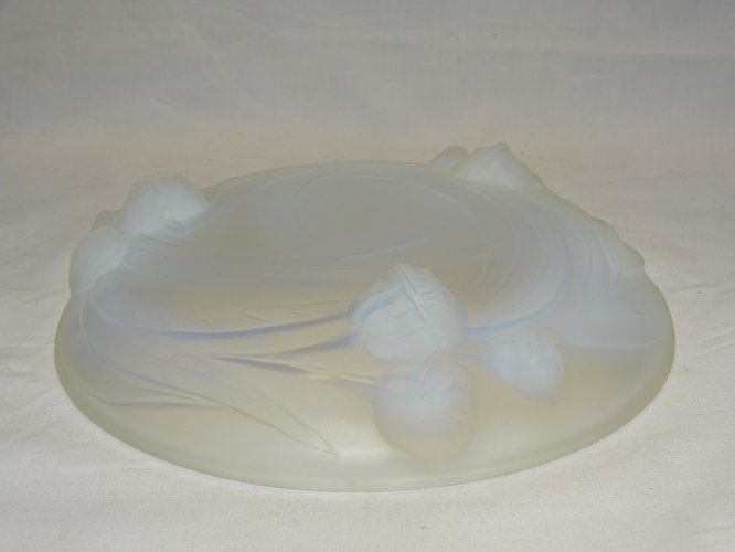 -BELLE PETITE COUPE VERRE OPALESCENT ETLING 100 MODELE EUCALYPTUS COLLECTION   D