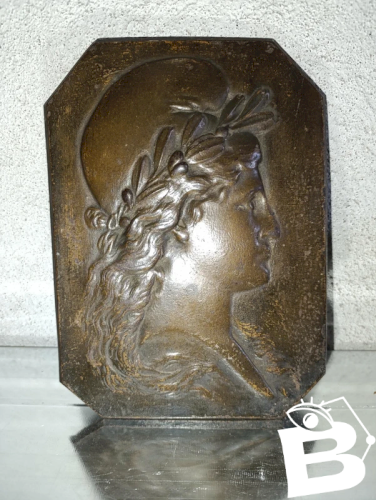 belle plaque en metal représentant Marianne en bon etat