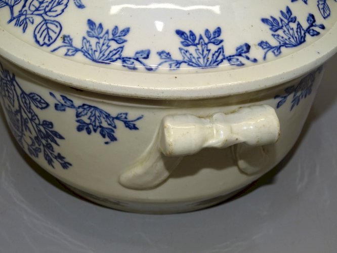 -BELLE SOUPIERE TERRE D'ACIER SAINT UZE non marquée FLEURS BLEUES COLLECTION   D
