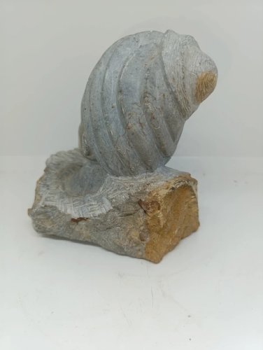 Belle Tête en pierre taille sculpter dorigine africaine