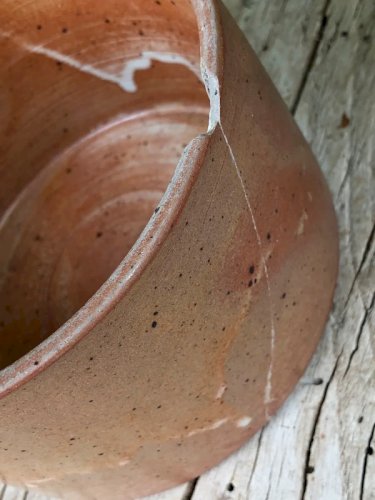 Beurrier à eau Breton ancien