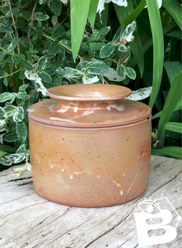 Beurrier à eau Breton ancien