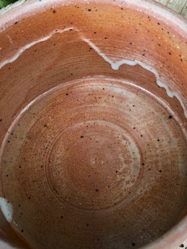 Beurrier à eau Breton ancien