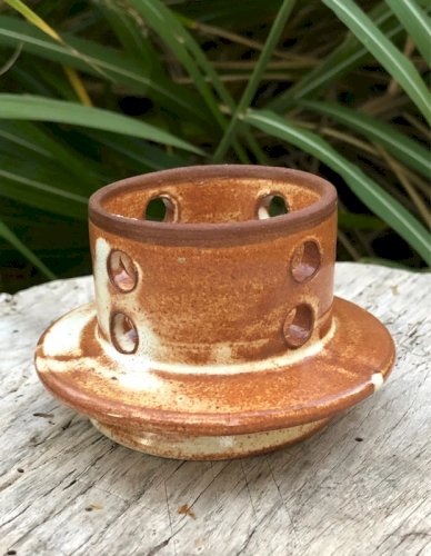 Beurrier à eau marron