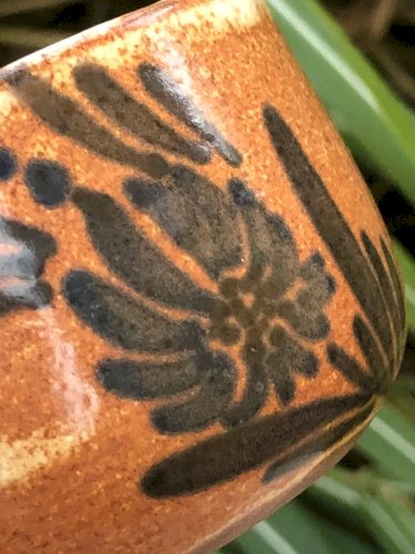 Beurrier à eau marron