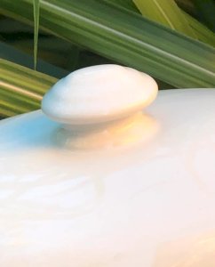 dot