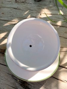 dot