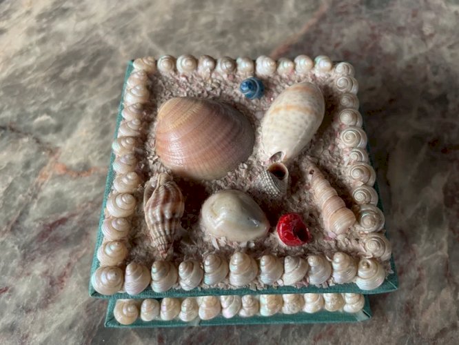 Boîte à bijoux coquillage vintage