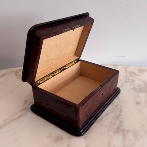 Boite à bijoux en marqueterie par Emile Gallé décor naturaliste M3705