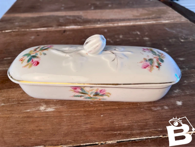 Boîte à brosses en porcelaine décor roses mousse