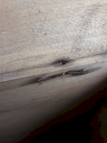 Boite à chapeau, coffret ancien en bois 1900